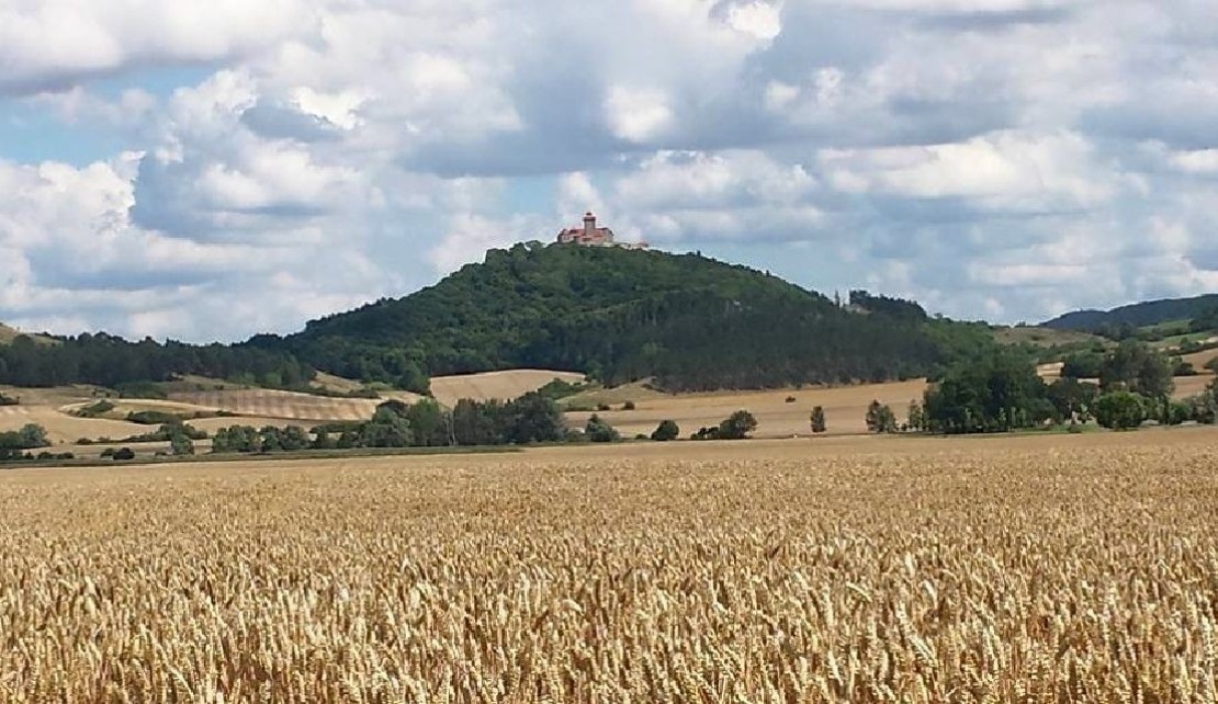 Wachsenburg im Sommer