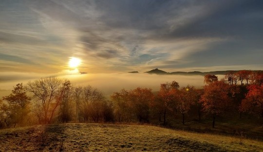 IMG-20221023-WA0001