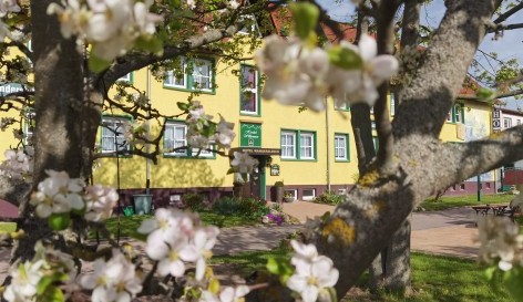 Hausansicht im Frühling