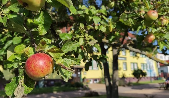 Hotel im Herbst Hotel im Herbst